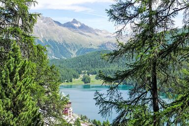 Chesa Cripels II - Chesa Cripels I .2