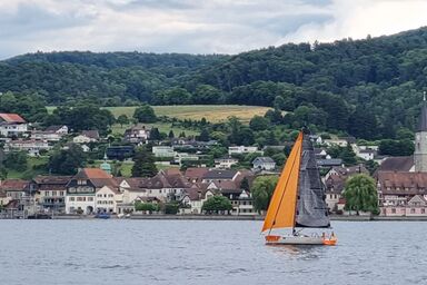 WohlfühlNest - WohlfühlNest .1