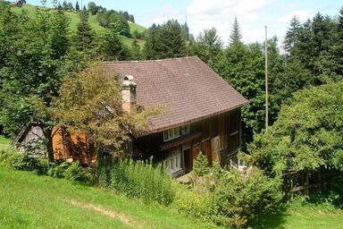 Ruchweid - Ruchweid .1