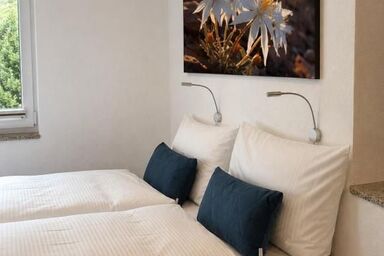 ONO Apartments - ONO Apartment 1