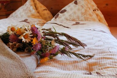 Grundnerhof - Appartement F