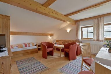 Bauernhof Ellmerer - Familie Mühlberger - Apartment"3" - 1 Schlafraum/Dusche/WC,T