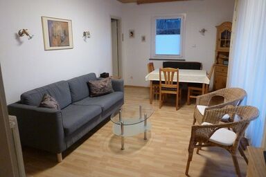 Ferienhäuser im Feriendorf Weissensee im Allgäu (F2) - Ferienhaus 52-F modern eingerichtet mit 2 Terrassen