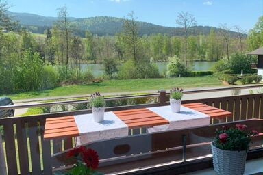 Feriendorf im Bayerischer Wald - Ferienhaus 12, See-und Bayerwaldblick, 30 m zum See bis 5 Pers. + 1 Babys und Hunde im Feriendorf Hohen Bogen
