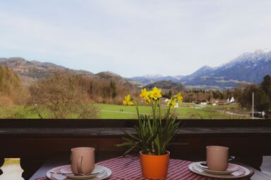 Ferienwohnungen „Zum Bauern“ - Ferienwohnung Bergblick 70qm mit Balkon