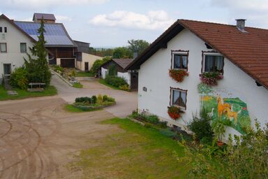 Bio-Erlebnisbauernhof Doll - Haflingerhof - Mohnblume
