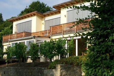 Ferienwohnung Weinlaube - Ferienwohnung 49qm mit Balkon