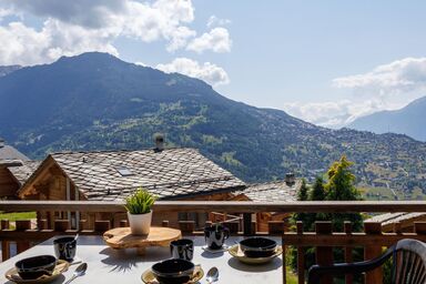 Hortensia 10 - Hortensia 33 .3