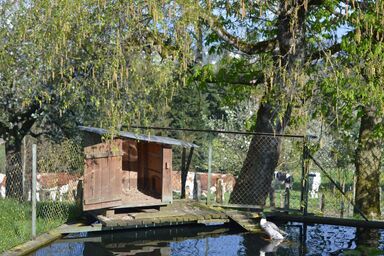 Bättwil - Bättwil .1