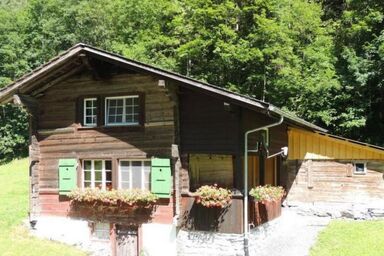 Lengwald "Hiisli" - Lengwald "Hiisli" .1