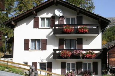 Cortina - Cortina .1