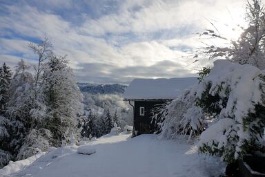 Bienenhaus Speicher - Bienenhaus Speicher .1
