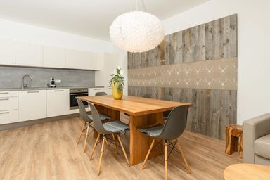 Sun Lodge Schladming by Schladming-Appartements - Typ 1i Gartenappartement