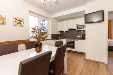 Bella Vista by Schladming-Appartements - Appartement Top 3