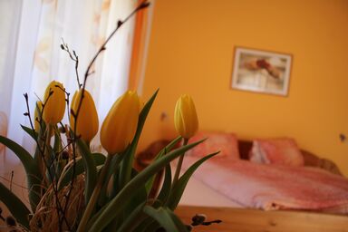 Haus Rupitsch - Appartement Dolomitenblick