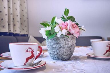 Alpin Apart - Fewo B (2-4 Personen/2 SZ)