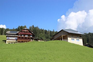 Pension Reiner - Lanerhof - Appartement Wiesenblick