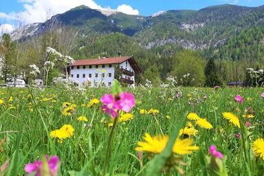Pulvererhof - Pulvererhof Top 1