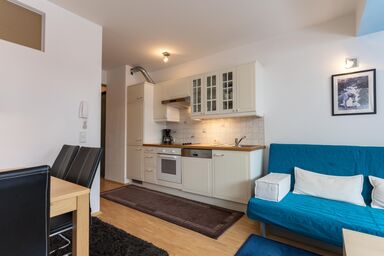 SKI-IN/SKI-OUT APPARTEMENTS AUGASSE - Augasse Appartement Top A8