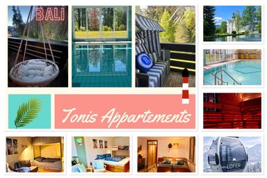Tonis Appartements - Tonis Appartements Lofer - Maui