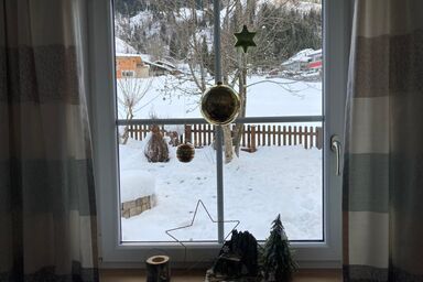 Hirner´s Rest. und Pizzeria - Appartement West 2 Garten