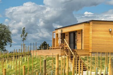 Weingarten-Resort Unterlamm Loipersdorf - WeinHAUS 07