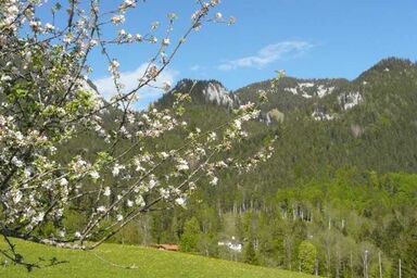 Greinhof - Ferienwohnung