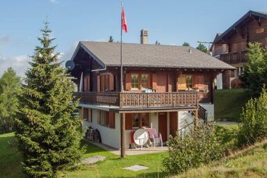 Chalet Allegra 4-Bettwohnung Erdgeschoss