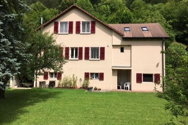 Studio Chèvre, (Soyhieres).