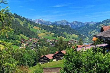 Finkenwiese Suite - mit Billiard und Wintergarten