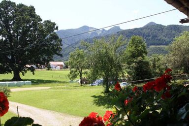 Kleinrachlhof | Chiemgau Karte - Appartement Rosmarin 28 qm 1-2 Pers., Kochnische, Balkon