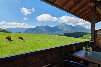 Fuchsbauernhof - Ferienwohnung Predigtstuhl 37 qm, 1 Schlafzimmer, Wohnküche, Balkon