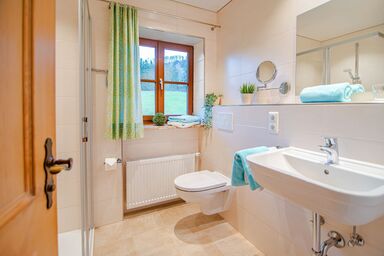 Ferienwohnungen Widdmoos inkl. Chiemgaukarte - Ferienwohnung 1, 52 qm, Balkon, Kochnische, 1 Schlafzimmer, 1 Wohnschlafzimmer