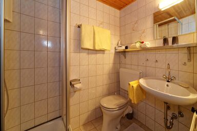 Berghof Plenk Pension und Ferienwohnungen - Appartement Typ I mit Balkon