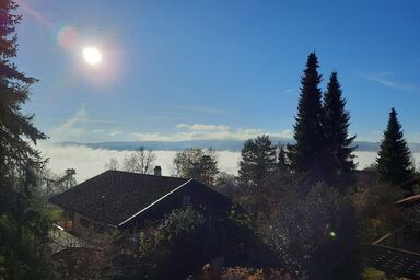 Ferienhaus Alexandra im Waldferiendorf - Ferienhaus