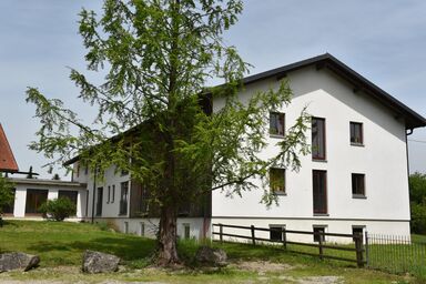 Zum Forst - Double room