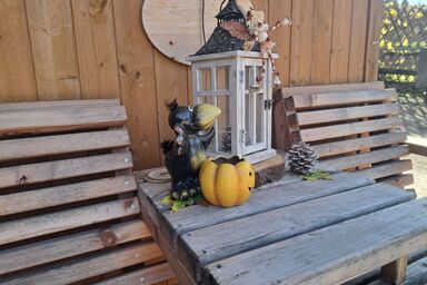 Appartement 2 - Appartement 1 .1