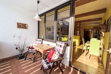 Sunshine Top 12 - Sunshine Top 12 .6