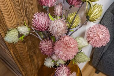 Montec Apart 2 - Montec .3