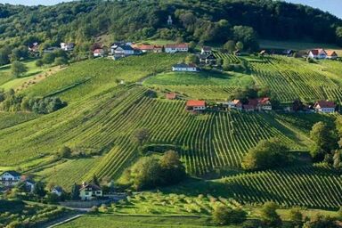 Rebenchalet - Rebenchalet .1