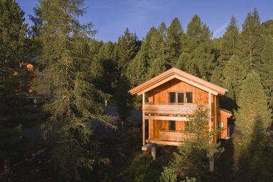 Superior Chalet mit Sprudelpool innen - Superior # 9 mit Sauna & Hot Tub .9