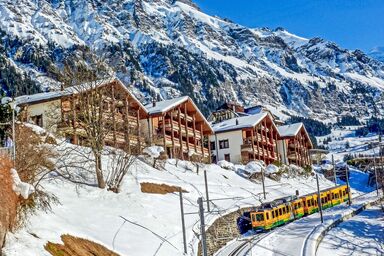 Primula Apt. B - Primula Apt. B .1