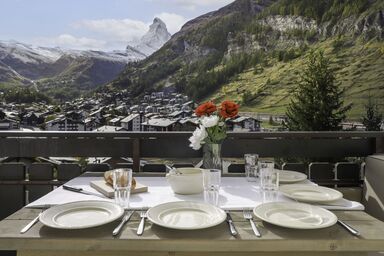 Dianthus - Dianthus .2