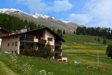 Chesa Brünella, Wohnung Belvair - Chesa Brünella, Wohnung Belvair .1