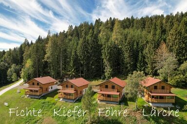Hochleben Chalets am Steinerhof in Kärnten - Lärchen-Chalet
