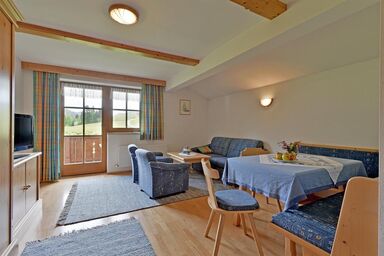 Bauernhof Ellmerer - Familie Mühlberger - Apartment"2" - 1 Schlafraum/Du,WC,TV