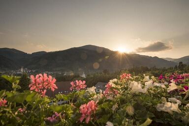 Kleinhofers Himbeernest - Zimmer 4 | Gelbes Herzerl (3-5 Nächte)