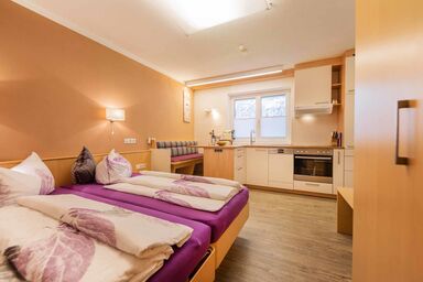 Hitchcock Apartments Stubai - Hitchcock Studio