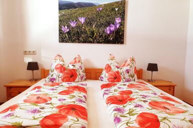 Bauernhof-Pension Juri - Ferienwohnung Jurikogel