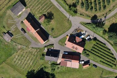 Camping am Weinbauernhof - Stellplatz